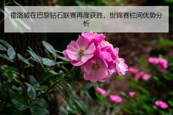 霍洛威在巴黎钻石联赛再度获胜，世锦赛栏间优势分析